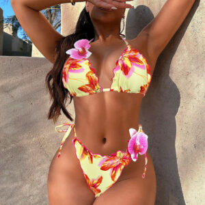 European And American New Women's Seperated Swimwear Sexy Hot Girl Bikini